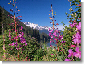 Anklicken zum vergr�ssern !