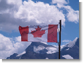 Anklicken zum vergr�ssern !