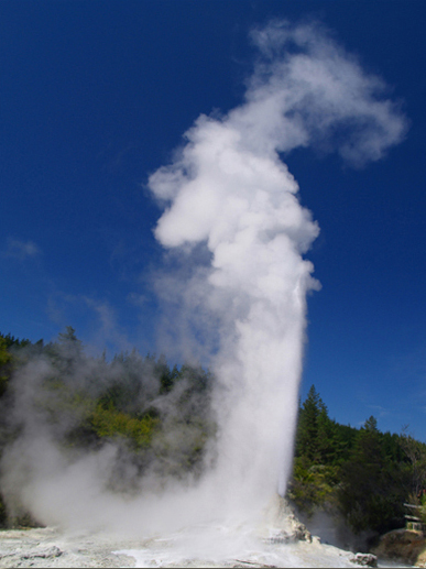 Lady Knox Geysir 010402