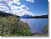 Anklicken zum vergr�ssern !