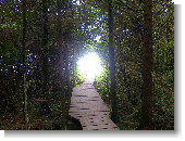 Anklicken zum vergr�ssern !