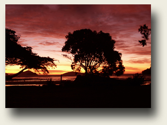 Shelly Bay - Coromandel 