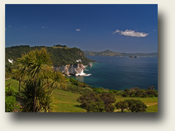 Stingray Bay - Coromandel 