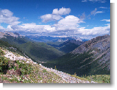 Anklicken zum vergr�ssern !