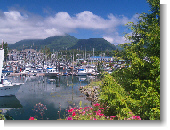 Anklicken zum vergr�ssern !