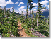 Anklicken zum vergr�ssern !