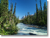 Anklicken zum vergr�ssern !